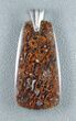 Large Brown Spiderweb Dinosaur Gembone Pendant #22535-1